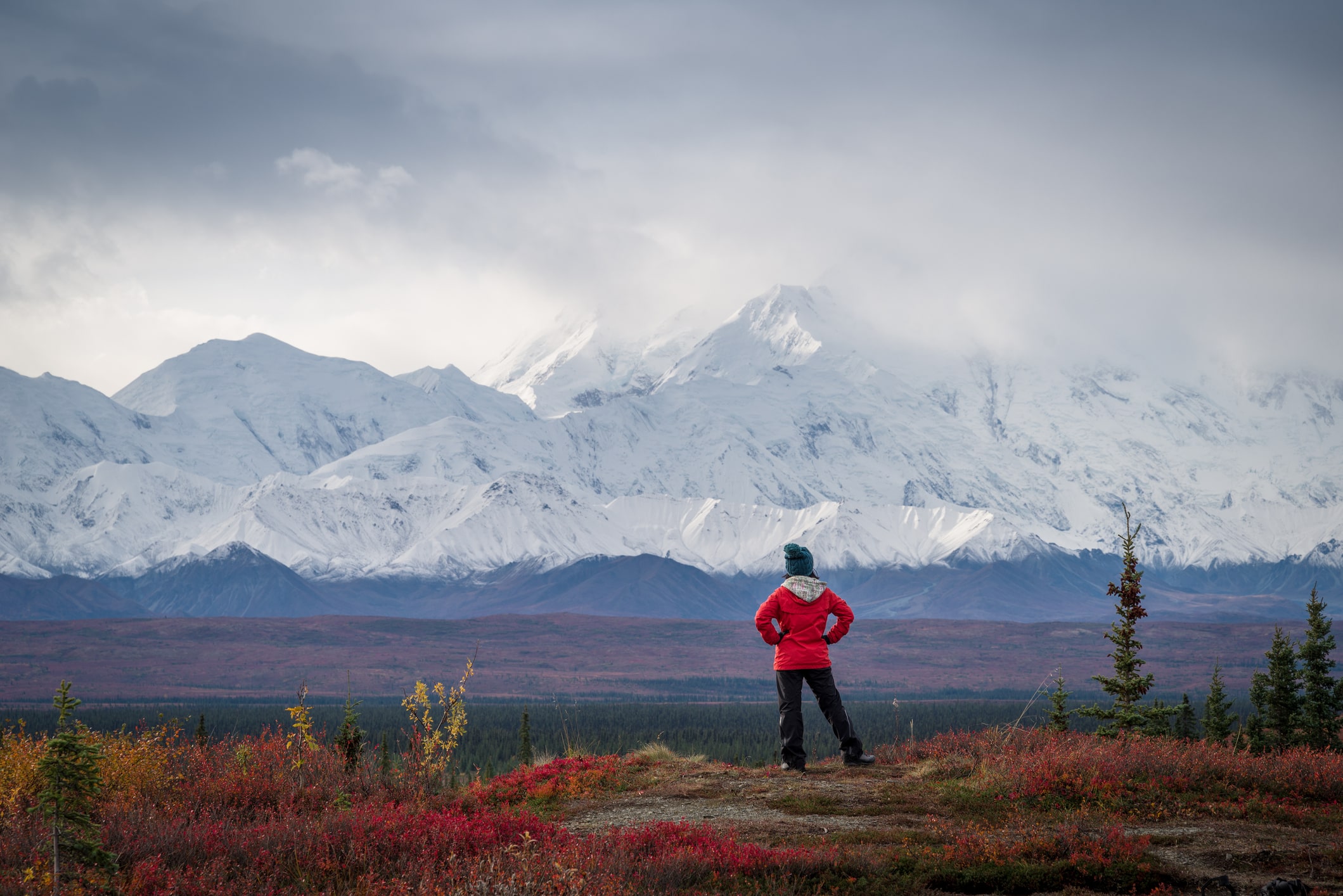 Hiker at mountain top with view of the Denali Mountain.